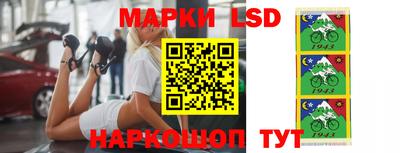 амф Гатчина