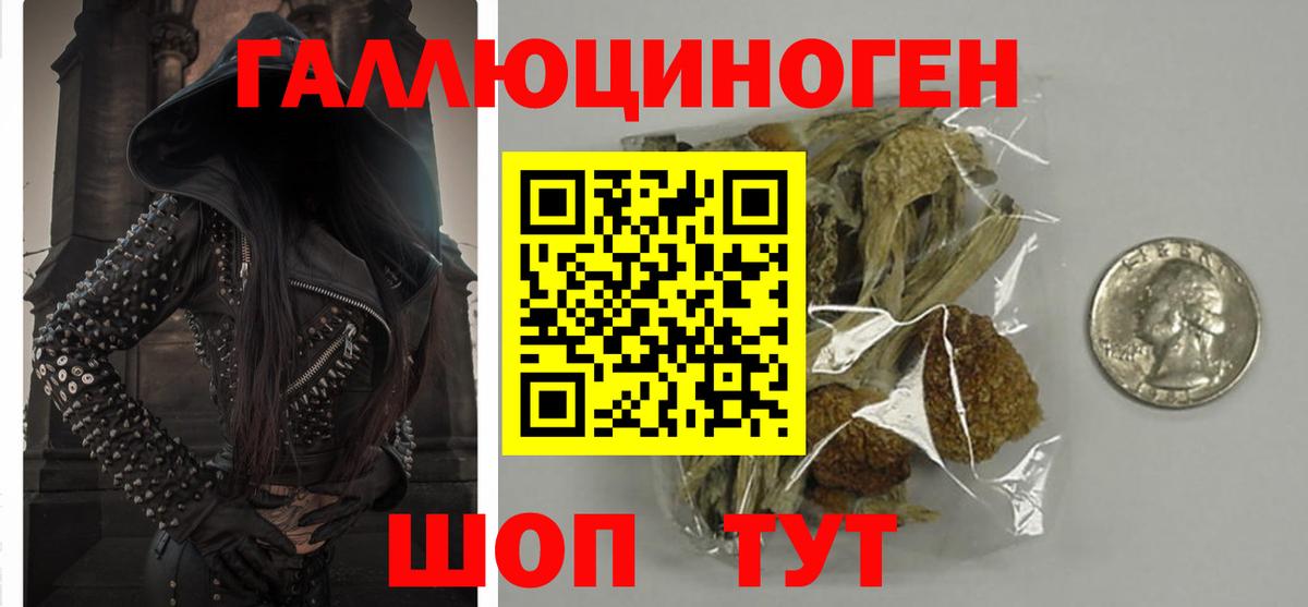 Галлюциногенные грибы Cubensis Братск