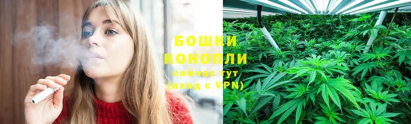 купить наркотики сайты  Братск  Бошки Шишки THC 21% 