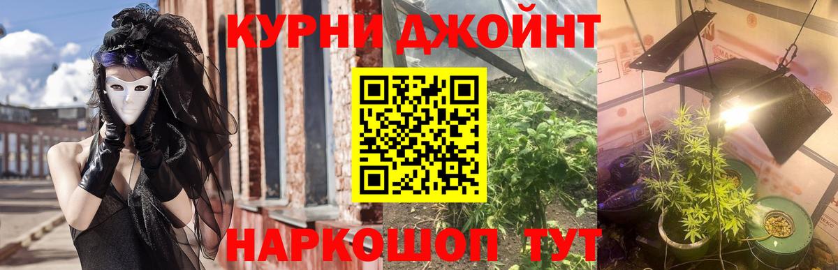 Бошки марихуана планчик Братск